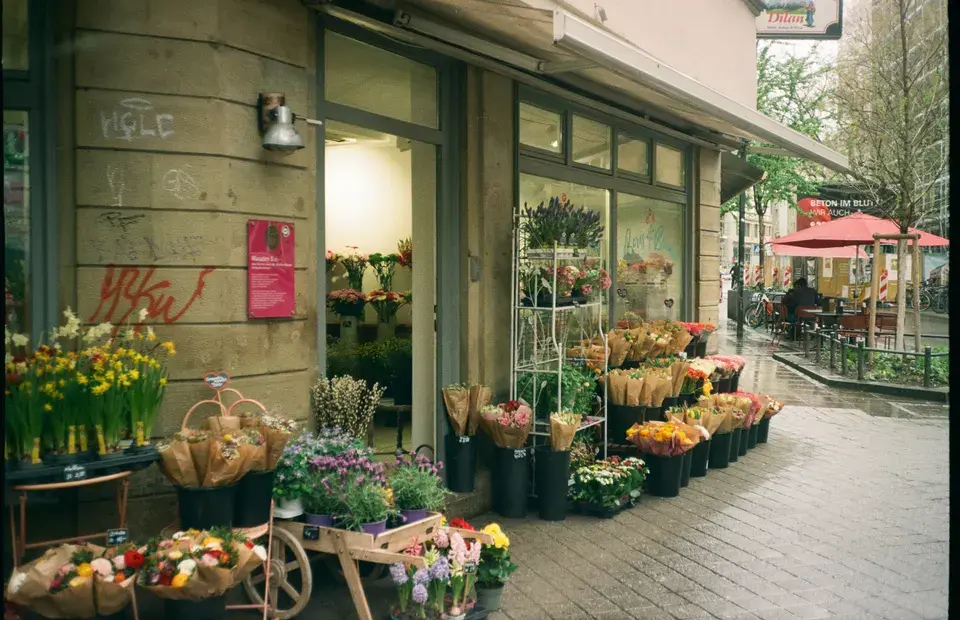 Explore Coombs, BC: Local Landmarks & Features in Coombs