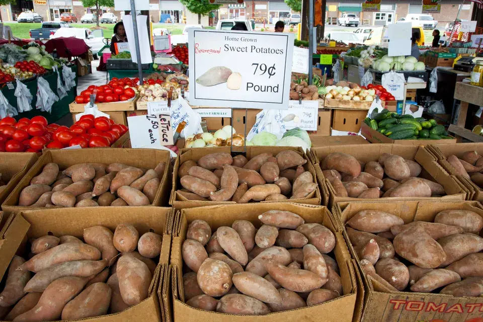 Explore Parksville, NY, with Peace of Mind in Parksville